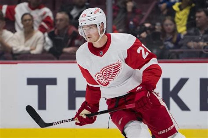 Detroit Red Wings: Is Gustav Lindstrom Related To Nick Lidstrom? Family Tree Explored