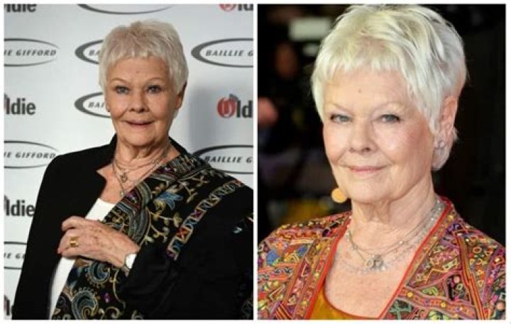 Judi Meredith Net Worth, Income, Salary, Earnings, Biography