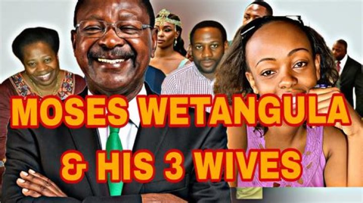 Moses Wetangula Senator, Bio, Age, Wife, Family, Children, Politics, Brother, Wealth and Contacts