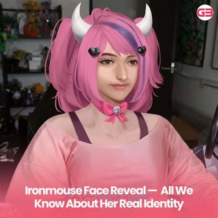 Primink Sexuality: Is He Gay? Face Reveal Real Name & Net Worth