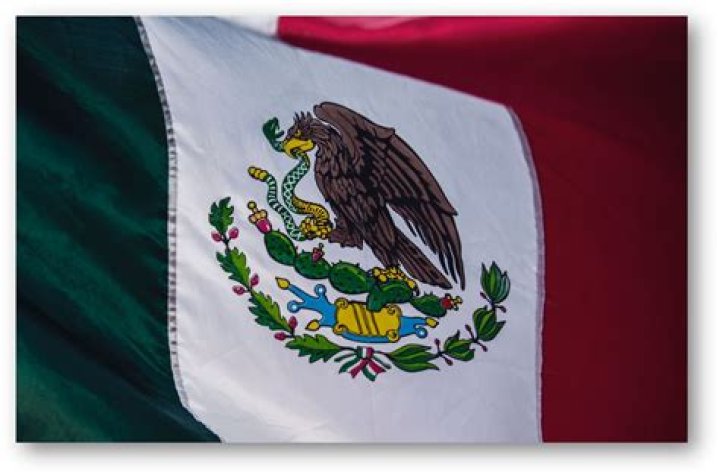 What does pato mean in mexico