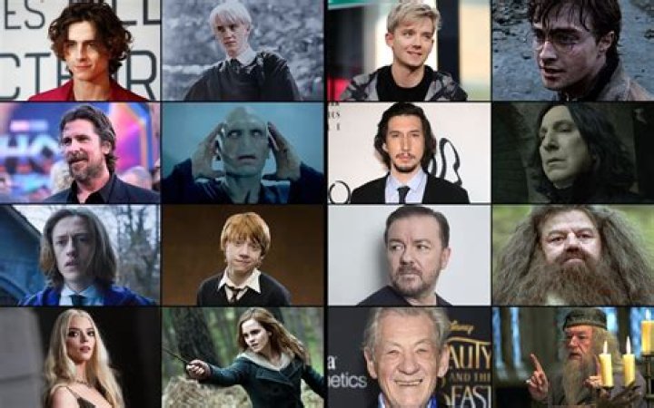 Who Did Ewan McGregor Play In Harry Potter?