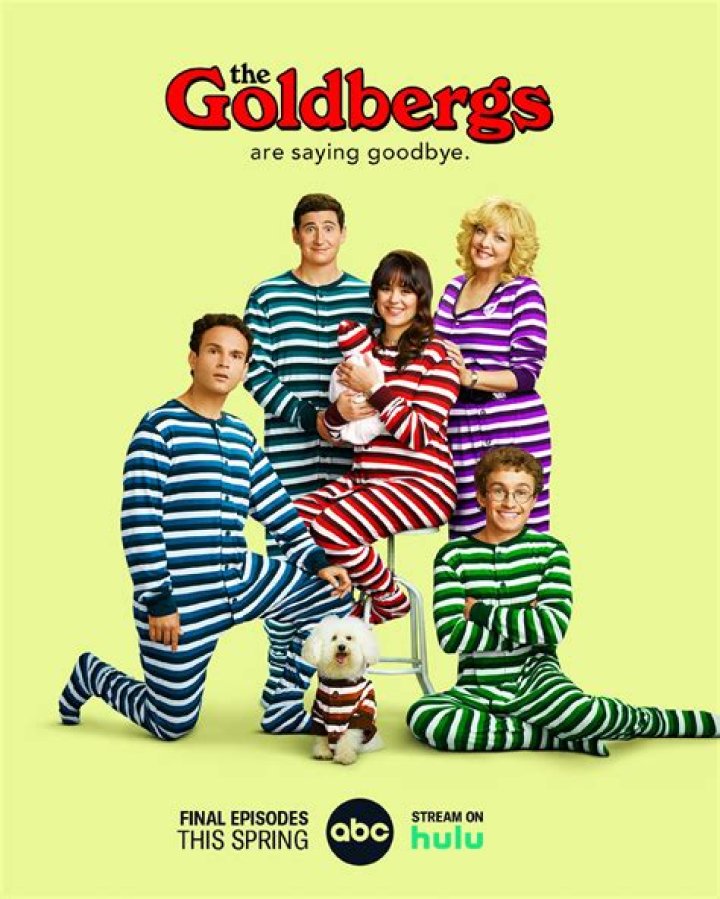 Who Is Anirudh Pisharody? Everything To Know About The Actor Of The Goldbergs TV Series