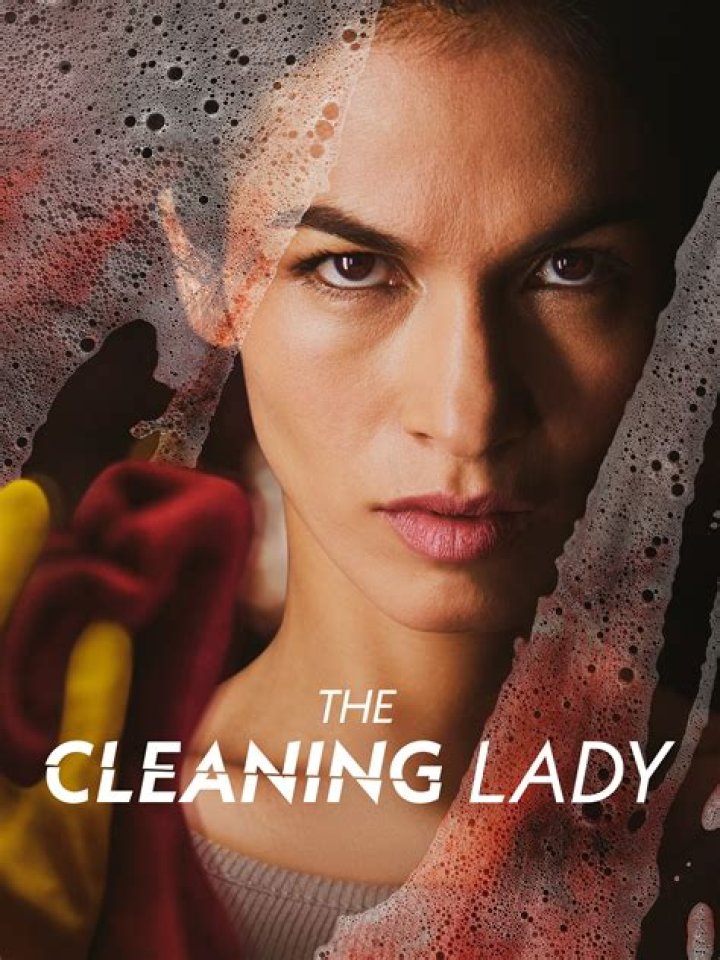 Who Is Sebastien LaSalle? Everything To Know About The Cast From The Cleaning Lady